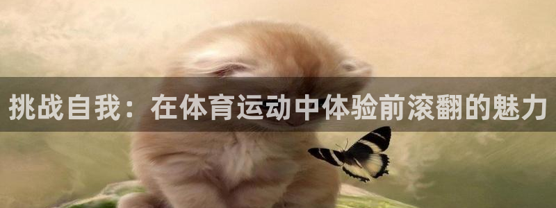 帮k1体育在线登录：挑战自我：在体育运动中体验前滚翻的魅力