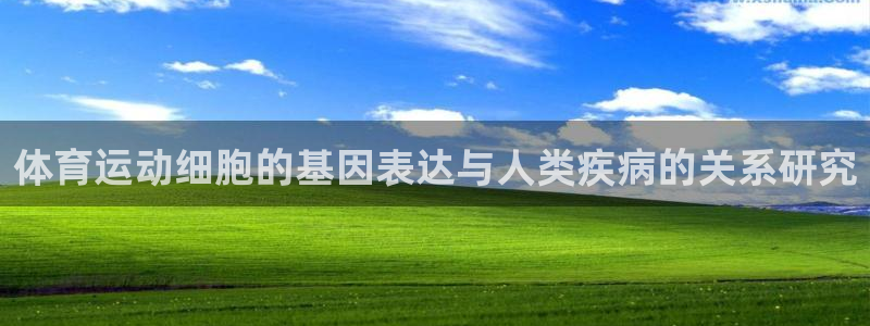 k1体育十年品牌值得信赖：体育运动细胞的基因表达与人类疾病的关系研究