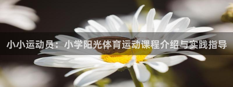 k1体育十年品牌值得信赖：小小运动员：小学阳光体育运动课程介绍与实践指导