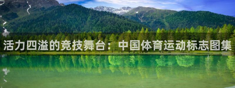 k1体育app下载链接：活力四溢的竞技舞台：中国体育运动标志图集