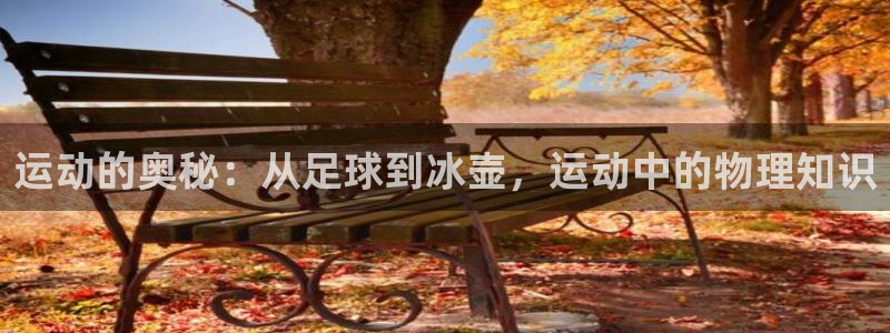 k1体育链接：运动的奥秘：从足球到冰壶，运动中的物理知识