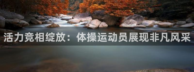 k1体育链接多少：活力竞相绽放：体操运动员展现非凡风采