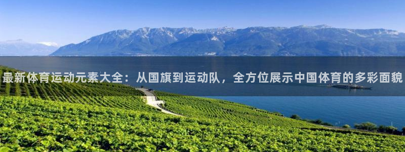 k1体育链接：最新体育运动元素大全：从国旗到运动队，全方位展示中国体育的多彩面貌