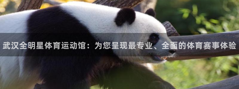 k1体育十年品牌：武汉全明星体育运动馆：为您呈现最专业、全面的体育赛事体验