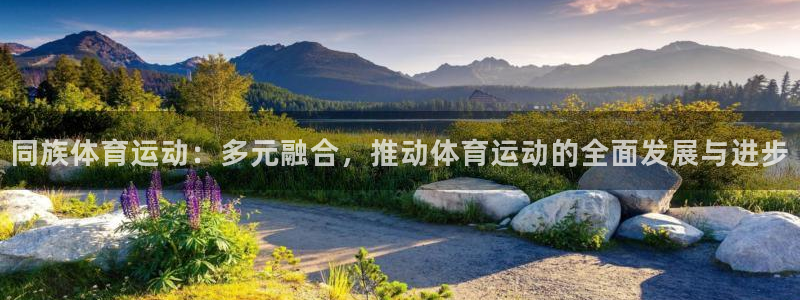 帮k1体育在线登录：同族体育运动：多元融合，推动体育运动的全面发展与进步