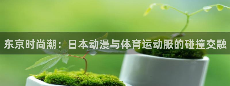 k1体育链接多少：东京时尚潮：日本动漫与体育运动服的碰撞交融