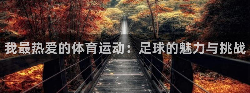 k1体育链接：我最热爱的体育运动：足球的魅力与挑战